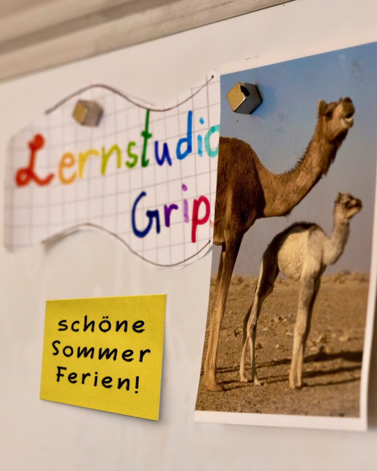 Instagram post from nachhilfe_mit_grips. This post is in position 1.